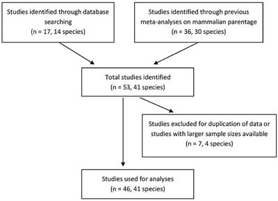 Genetic Monogamy in Socially Monogamous Mammals Is Primarily Predicted by Multiple Life History Factors: A Meta-Analysis